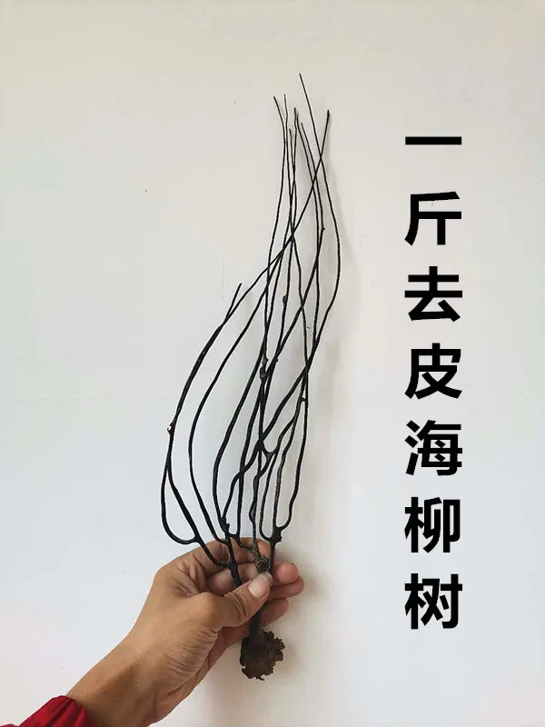 Раковина из натуральной Раковины Морская ива морское железное дерево Коралловая