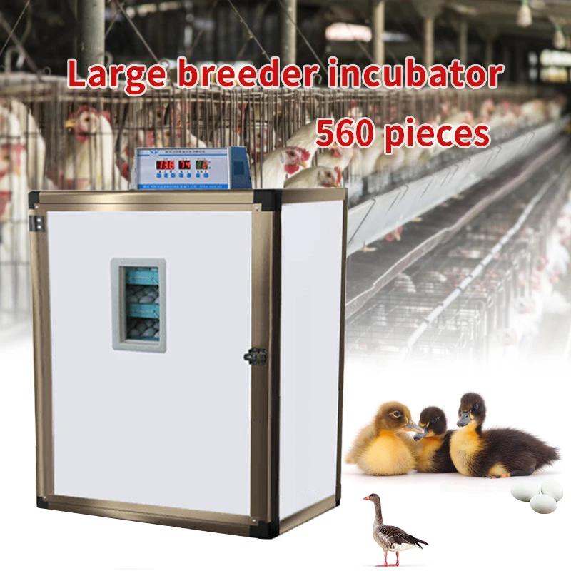 Новейший автоматический инкубатор для кур Брудер 560 яиц по низкой цене