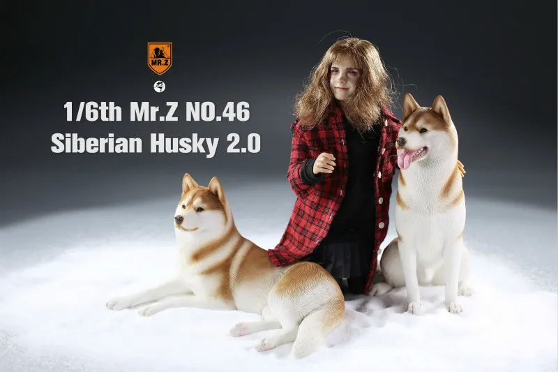 Mr.Z 1/6 сибирская Хаски 2 0 модель собаки украшение в виде животного настольные
