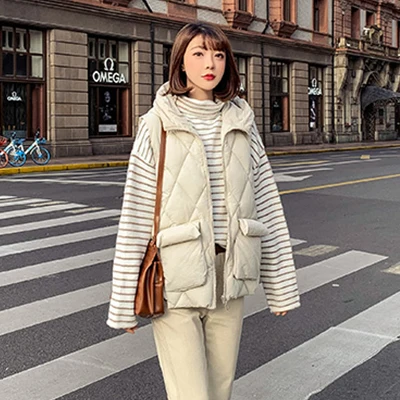 beige Повседневный жилет из хлопка, с подкладкой, женская зимняя модная однотонная куртка без рукавов с капюшоном, Корейская уличная жилетка на молнии, женские теплые пальто - Цвет: beige