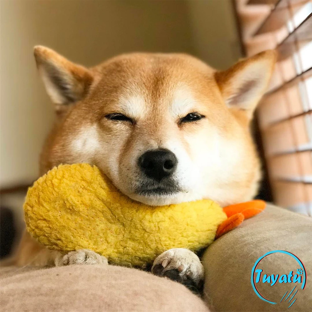 Tempura игрушки для больших и маленьких собак плюшевая интерактивная игрушка щенков