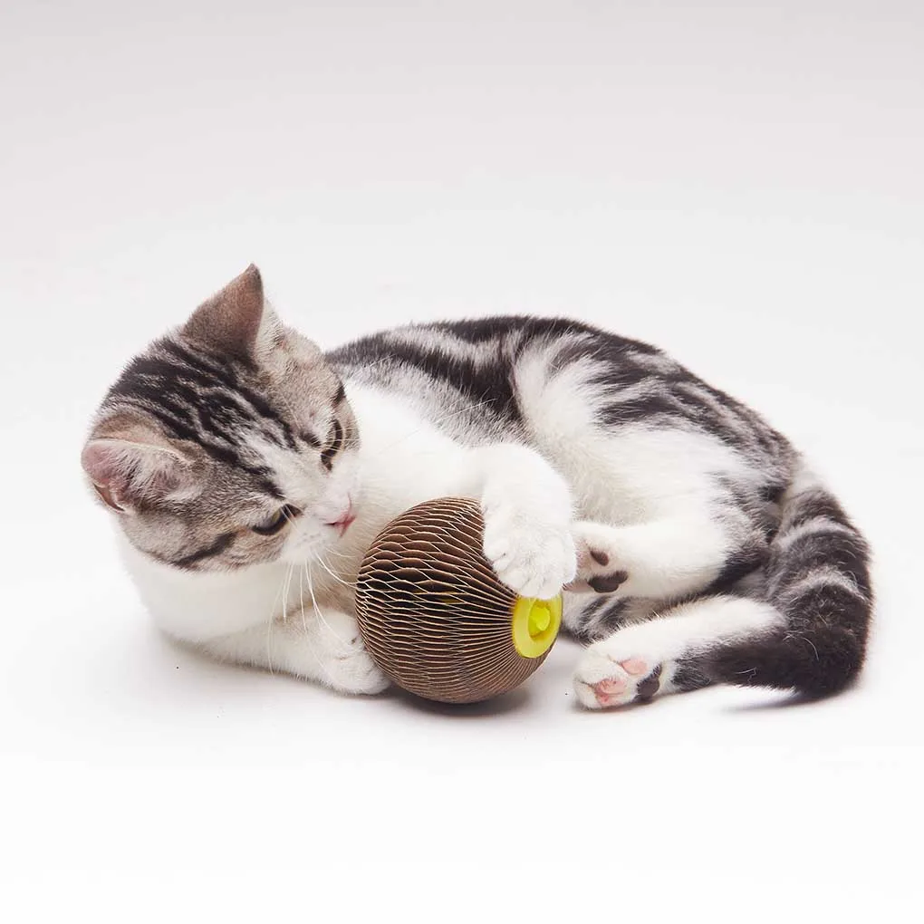 

Когтеточный бумажный мяч для домашних животных, многоразовая игрушка для жевания кошачьей мяты