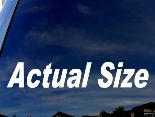 

Actual-Size computer Truck Laptop Sticker Decal