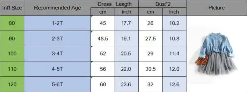 

1-6Y Baby Girl Denim Dress Ball Gown Long Sleeve Tutu Tulle Princess Party Dress Toddler Kids Clothing