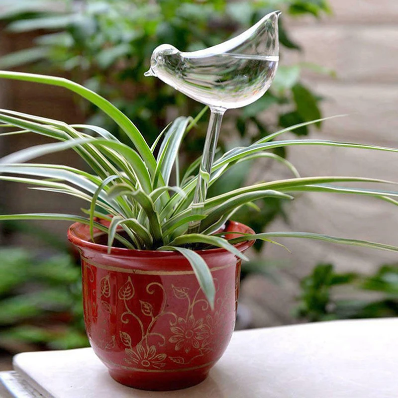 

Hot Plant Waterer Self Watering Globes Bird Shape Hand Blown Clear Glass Aqua Bulbs Vases Decor Easy Garden Tools Dropshipping