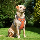 Светоотражающая шлейка для питомцев, новинка 2019, воздухопроницаемая, без упряжка для тренировки собак, регулируемая, для питбуля, лабрадора