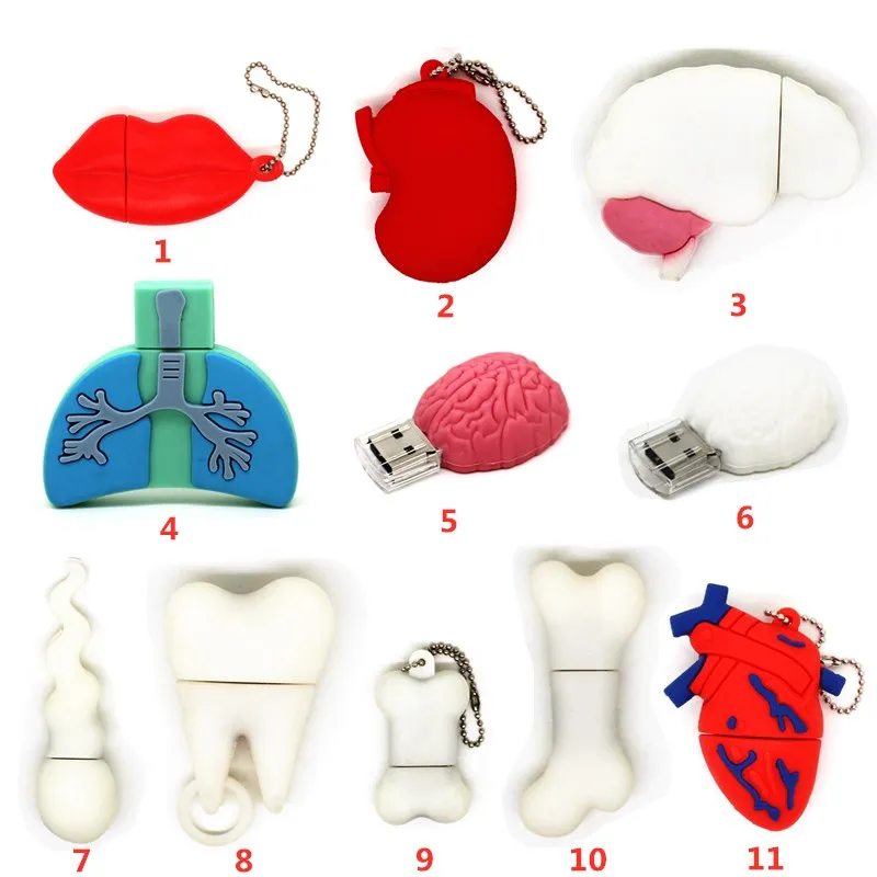 USB флеш накопитель с мультяшным дизайном мозга модель человеческих органов 128 Мб