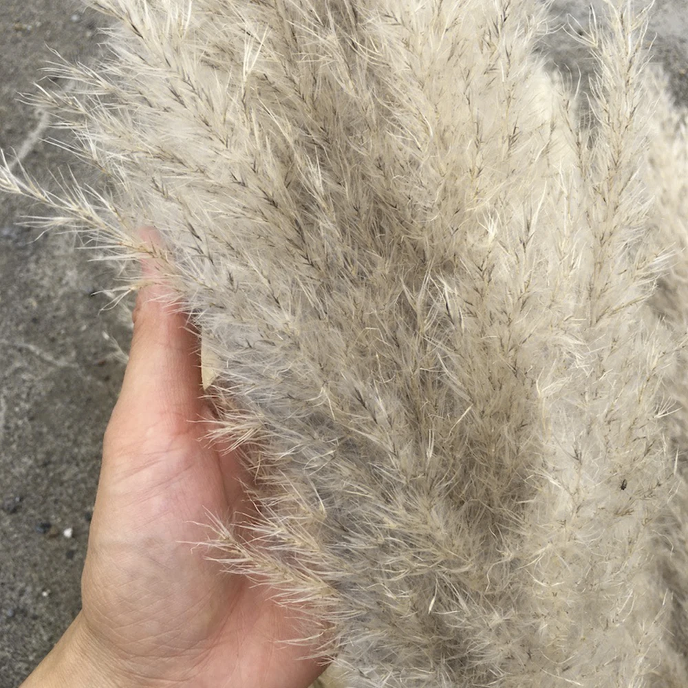50 шт. Натуральные Сушеные маленькие пампасы травы Искусственные цветы растения вечерние рождественские