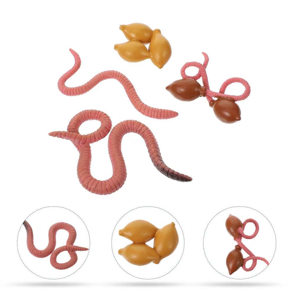 

1 Set Educational Model Simulation Insects Earthworms Growth Cycle Models