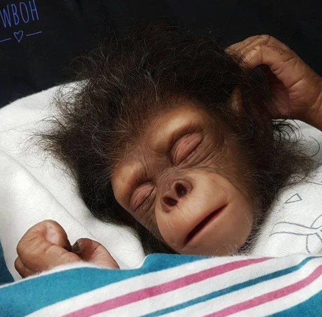 

Набор кукол-обезьянок реборн orangutans, реалистичные художественные детали для кукол без рисунка