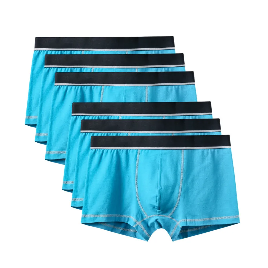 6Pcs A0608 Sky Blue 6 шт./лот, фирменное качество,, новые модные сексуальные хлопковые шорты, мужские боксеры, шорты, мужское нижнее белье, мужские трусы, мужская одежда - Цвет: 6Pcs A0608 Sky Blue