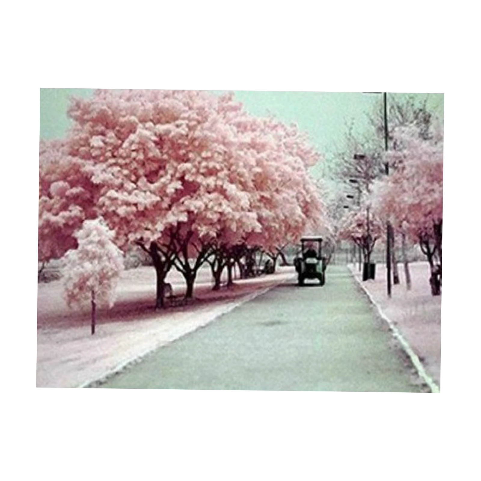 

DIY Diamond Painting Kit Crystal Diamond Mosaic Embroidery Sakura Picture