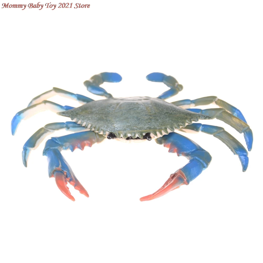 

1PCS Simulation Animals Seafood Model Plastic Crab Toy Gift The Underwater World Toys Sea Life Action Figures Collection Boys