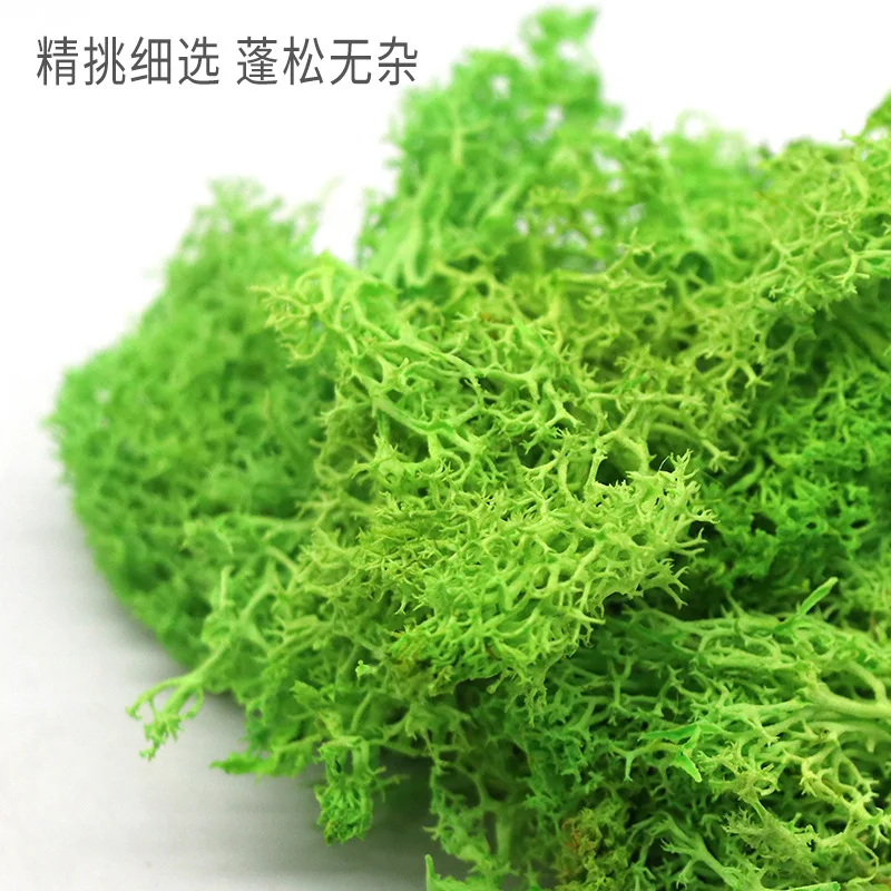 Натуральный неувядающий цветок Зеленый мох материал для украшения дома стена