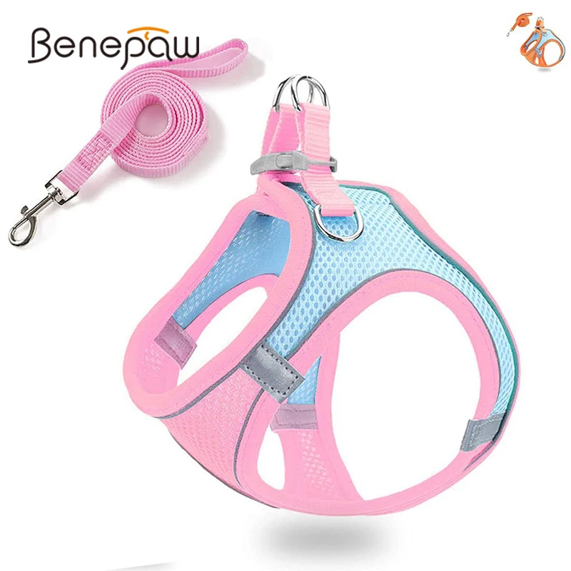 

Benepaw Breathable Small Dog Leash Set Harness Comfortable Reflective Durable Air Mesh Escape Proof No pull Puppy Vest Harness