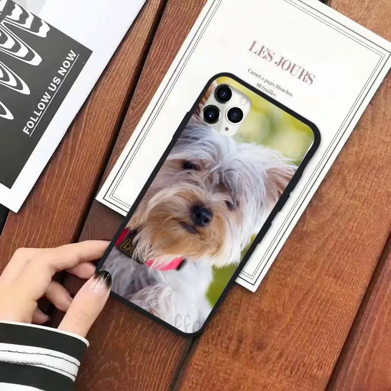 

Mini Yorkshire Terrier Dog Phone Case for iPhone 11 12 pro XS MAX 8 7 6 6S Plus X 5S SE 2020 XR