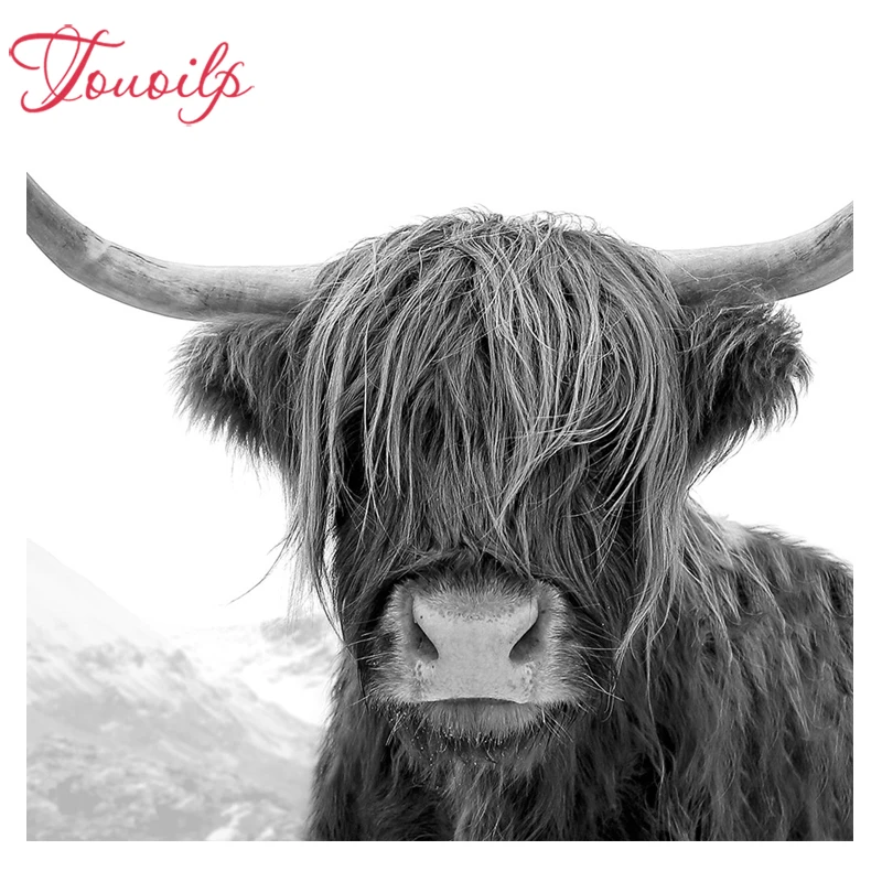 5d алмазная вышивка сделай сам Highland Cow полноразмерная квадратная круглая живопись