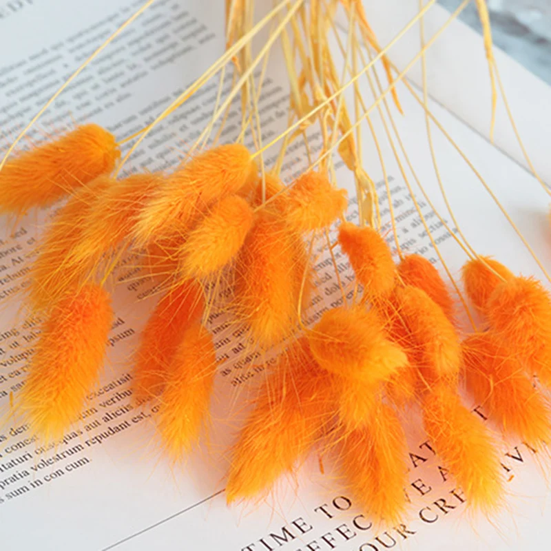 20 шт. Натуральные сушеные цветы для украшения дома | Дом и сад