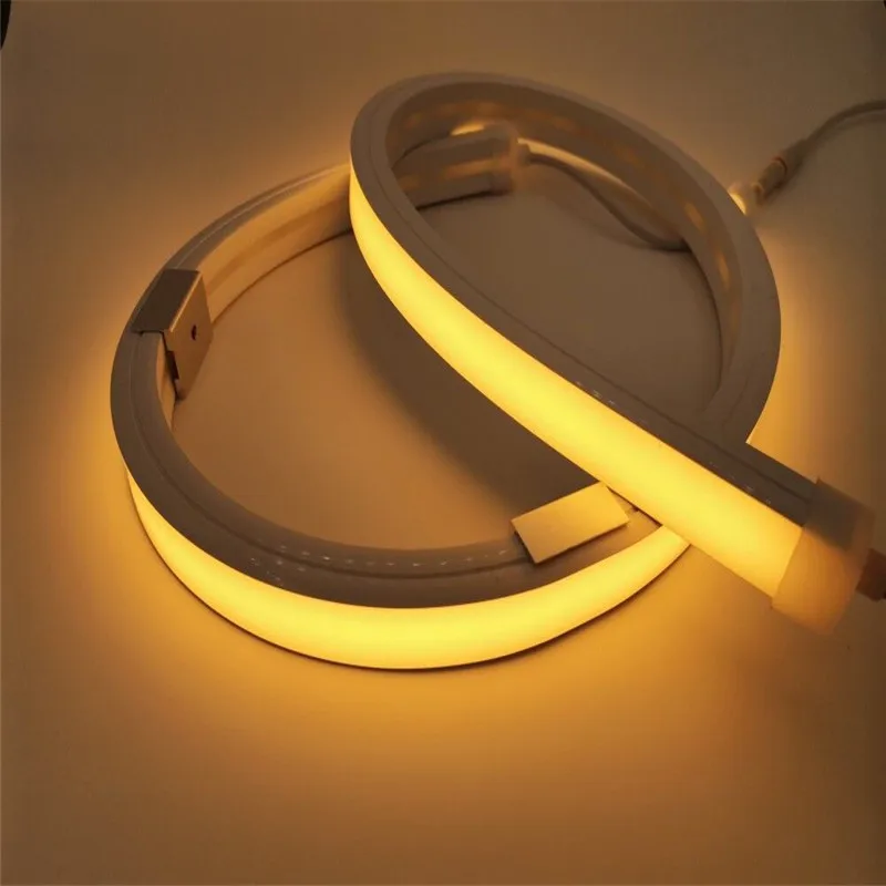 

Manufacturer custom flexible neon light strip silicone waterproof flexible light strip 12v 24v2835 20*14 neon light strip