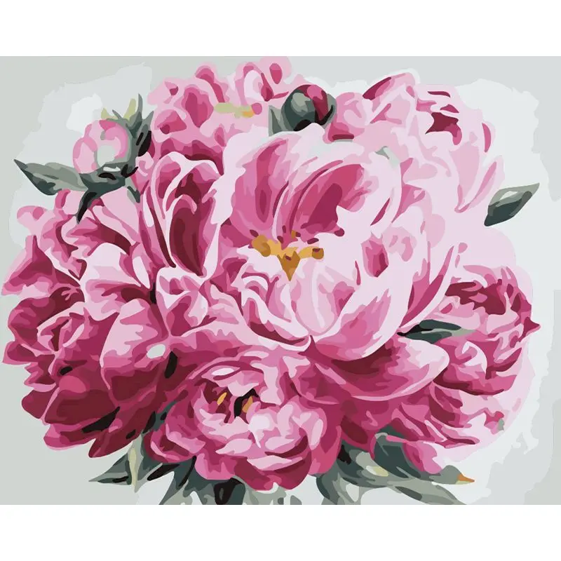 

Painting By Numbers Pink Peony Flowers Canvas Pictures Oil Painting For Living Room Wall Art Home Modern DIY Decoration Gift