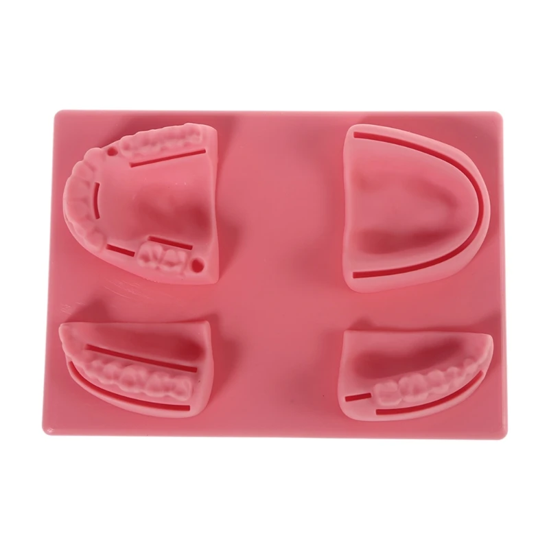 

2021 New Portable Oral Suture Pad with 4 Typical Oral Silicone Suture Pad Ideal for Nurse