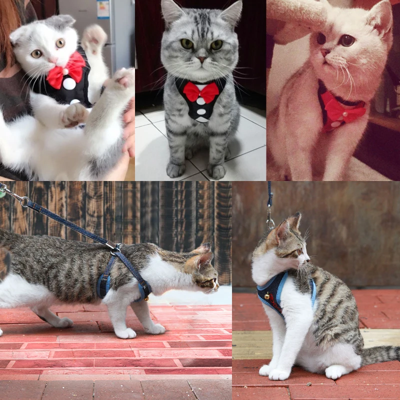 Простой Регулируемый ошейник для кошек безопасный с тягой бабочка колокольчиком