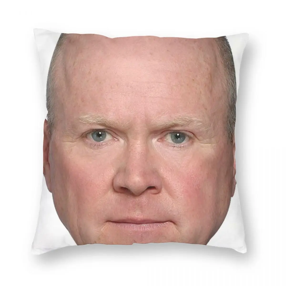 

Квадратный чехол для подушки Фил Митчелл, полиэстеровый льняной бархатный чехол с узором на молнии, декоративный чехол для подушки, чехол д...