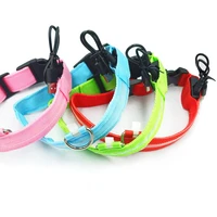 nylon led pet dog luminous collar for dogs night safety flashing glow in dark dog cat leash adjustable pet supplies accessories