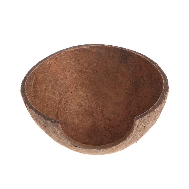 2020 новые рептилии спрятать среду обитания натуральный кокосовый скорлупа