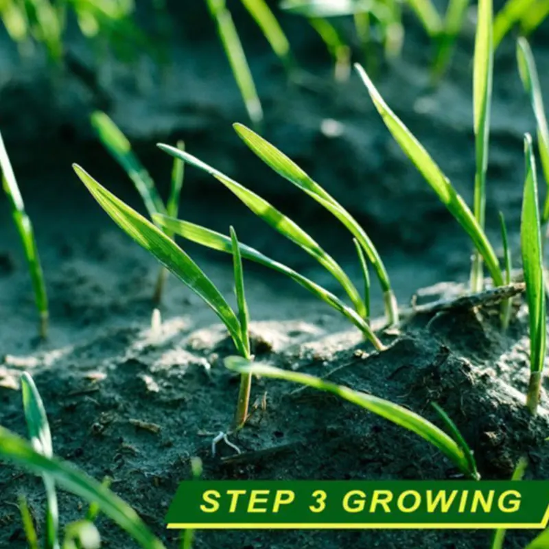 Коврик для семян травы стартовый коврик Садовые принадлежности|Садовые