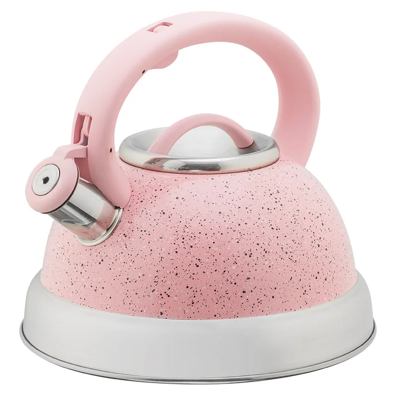 

Stainless Steel Whistling Kettle Spray Color Rubber Plastic Handle Kettle Pink Eco Friendly Fluitketel Kitchen Utensils EB50SH