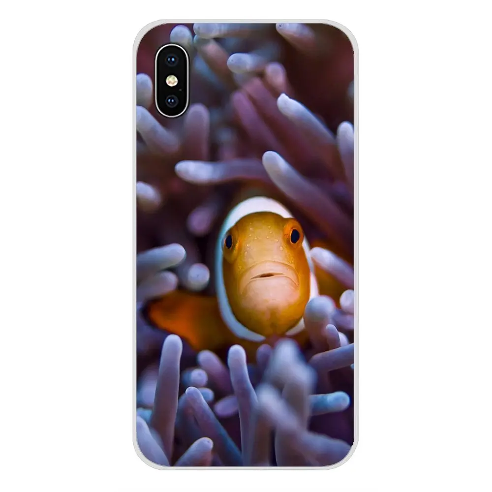 Anemone Seafish Accessories Phone Shell Covers For Xiaomi Redmi 4A S2 Note 3 3S 4 4X 5 Plus 6 7 6A Pro Pocophone F1 | Мобильные