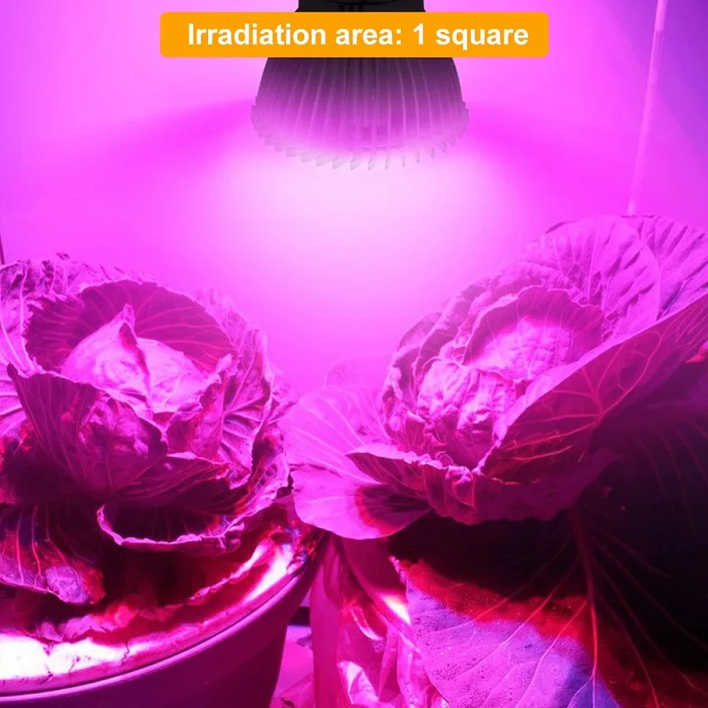 Рисунок 5 - Лампа для растений полного спектра