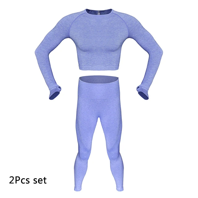 Blue 2Pcs Set Комплект для йоги, женская одежда для фитнеса, бесшовный спортивный топ с длинным рукавом, Леггинсы для йоги, комплект для спортзала, спортивный костюм, спортивная одежда, тренировочный костюм - Цвет: Blue 2Pcs Set