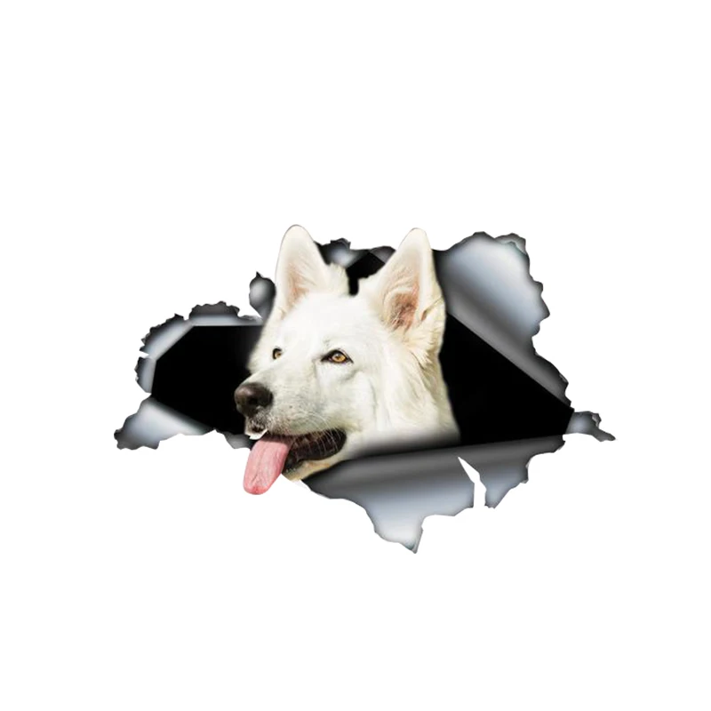 

Waterproof Car Sticker 3D Graphic Creative Swiss Shepherd Motorcycle Bumper Decoration Decal Vinyl Scratch Fitting PVC White