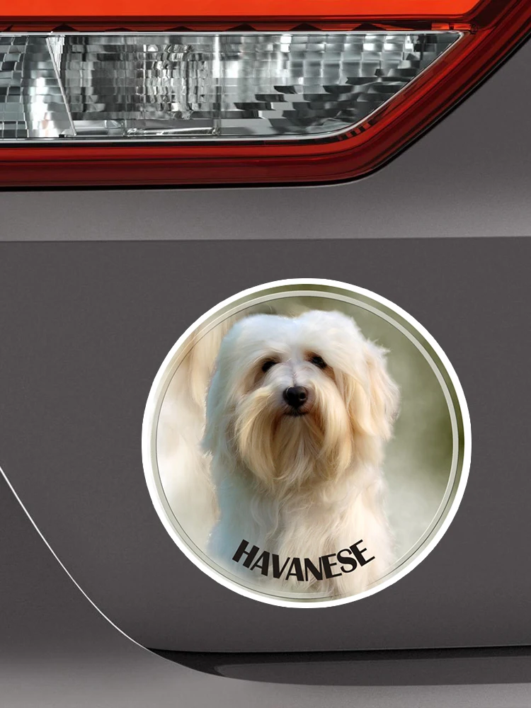 S40377 # различные размеры ПВХ наклейка Havanese собака животное Автомобильная для