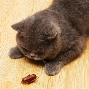 Магазин MPK Игрушка в форме мыши на батарейках для кошек, веселая мышь, игрушка для кошек, мышь