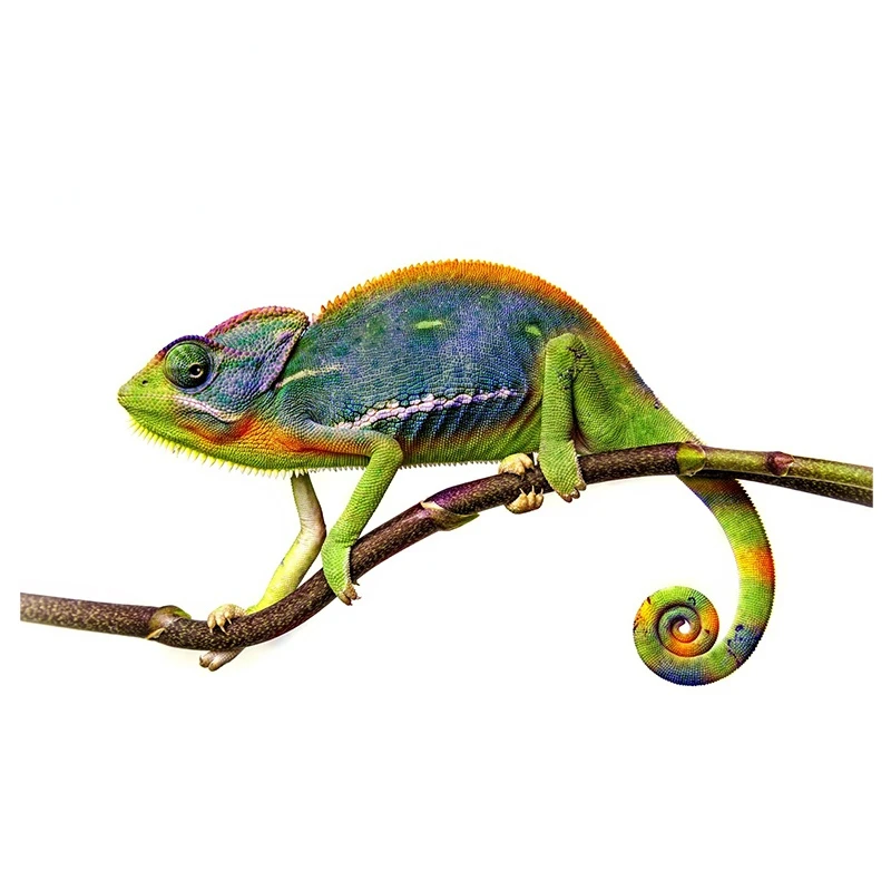 

Green Chameleon Car Stickers Vinyl Decoration Waterproof Personality Window Trunk Decal for VAN SUV Trolley Case Helmet Wall