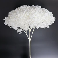 real natural fresh preserved hydrangea branch eternal life flower head for diy gift box wedding party hoom home decoration