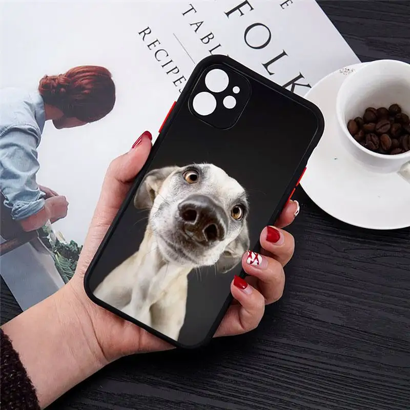 

Galgo Greyhound Dog Phone Case Transparent Matte for iPhone 7 8 11 12 s mini pro X XS XR MAX Plus cover funda
