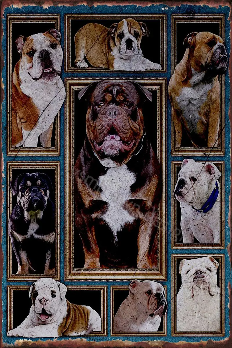 

Bulldog Vintage Metal Sign Tin Sign Tin Plates Wall Decor Room Decoration Retro For Art Pub Home Club Man Cave Cafe