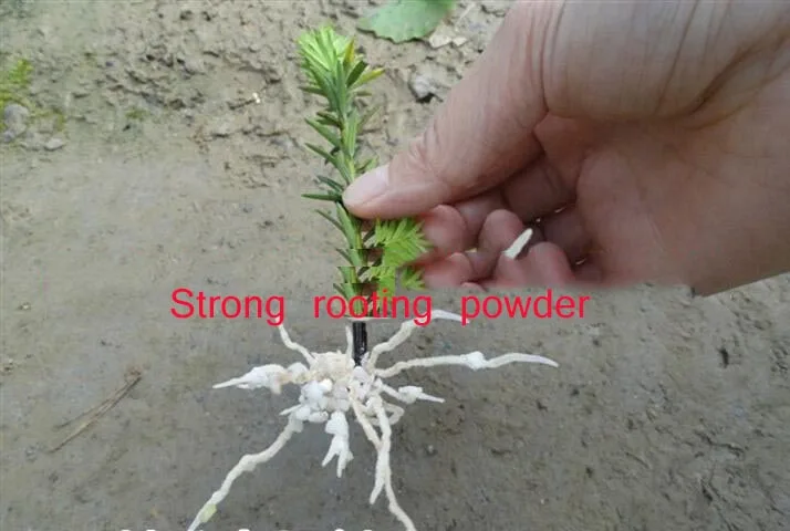 2 шт. мощный порошок для укорения цветов корней рассады удобрений садовые