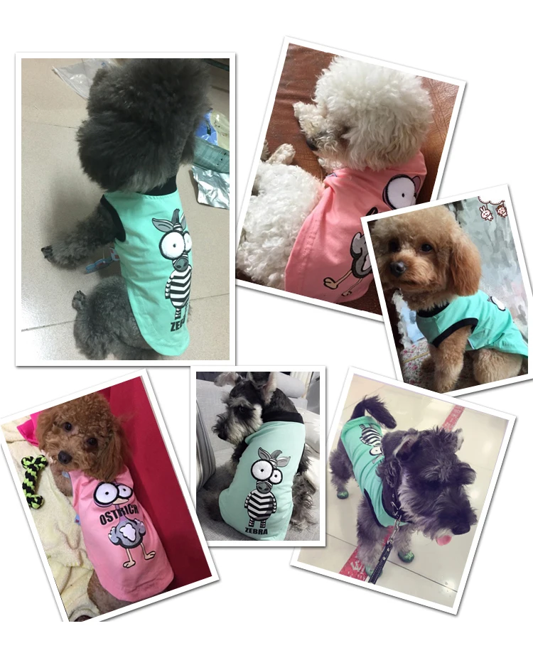 Летняя жилетка для собак милые хлопковые дешевые домашние кошки маленькие щенки