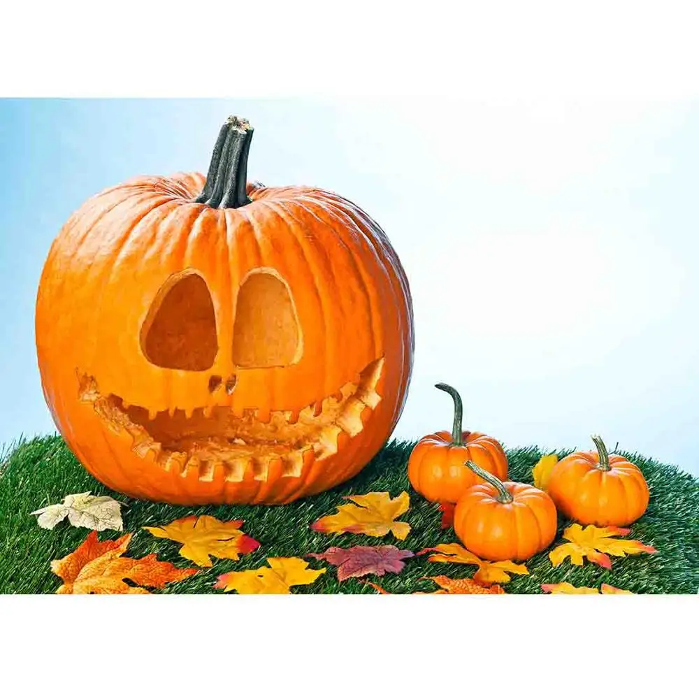 

SHENGYONGBAO Vinyl Custom Photography Backdrops Prop Baby festival Theme Photo Studio Background NY-16