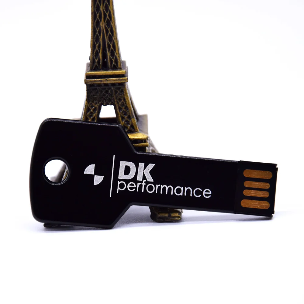 USB флеш накопитель с логотипом на заказ 10 шт./лот металлический ключ карта памяти 4