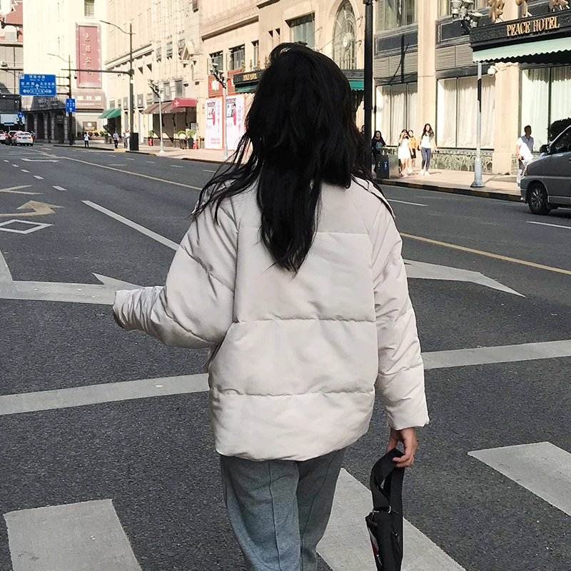 Женская зимняя куртка с воротником-стойкой Короткая свободная парка в стиле