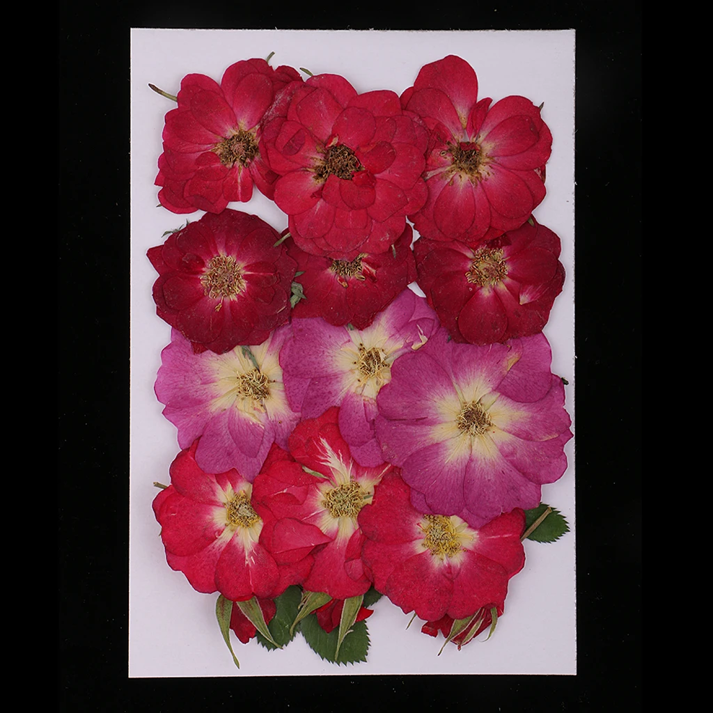 Много Смешанных реальных прессованных цветов Сушеные Цветы Скрапбукинг чехол