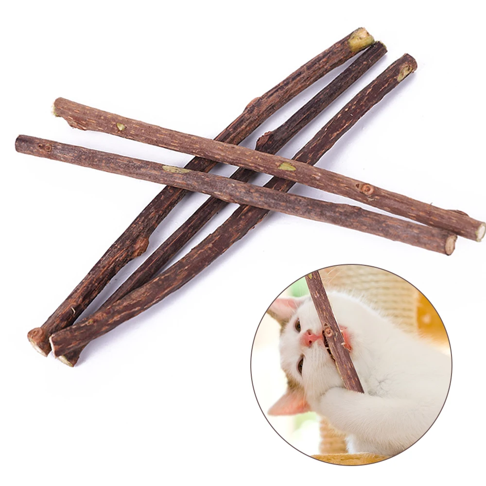 

Natural Catnip Pet Cat Molar Toothpaste Stick Matatabi Actinidia Fruit Silvervine Polygonum Cat Snacks Sticks Pet Cleaning Teeth