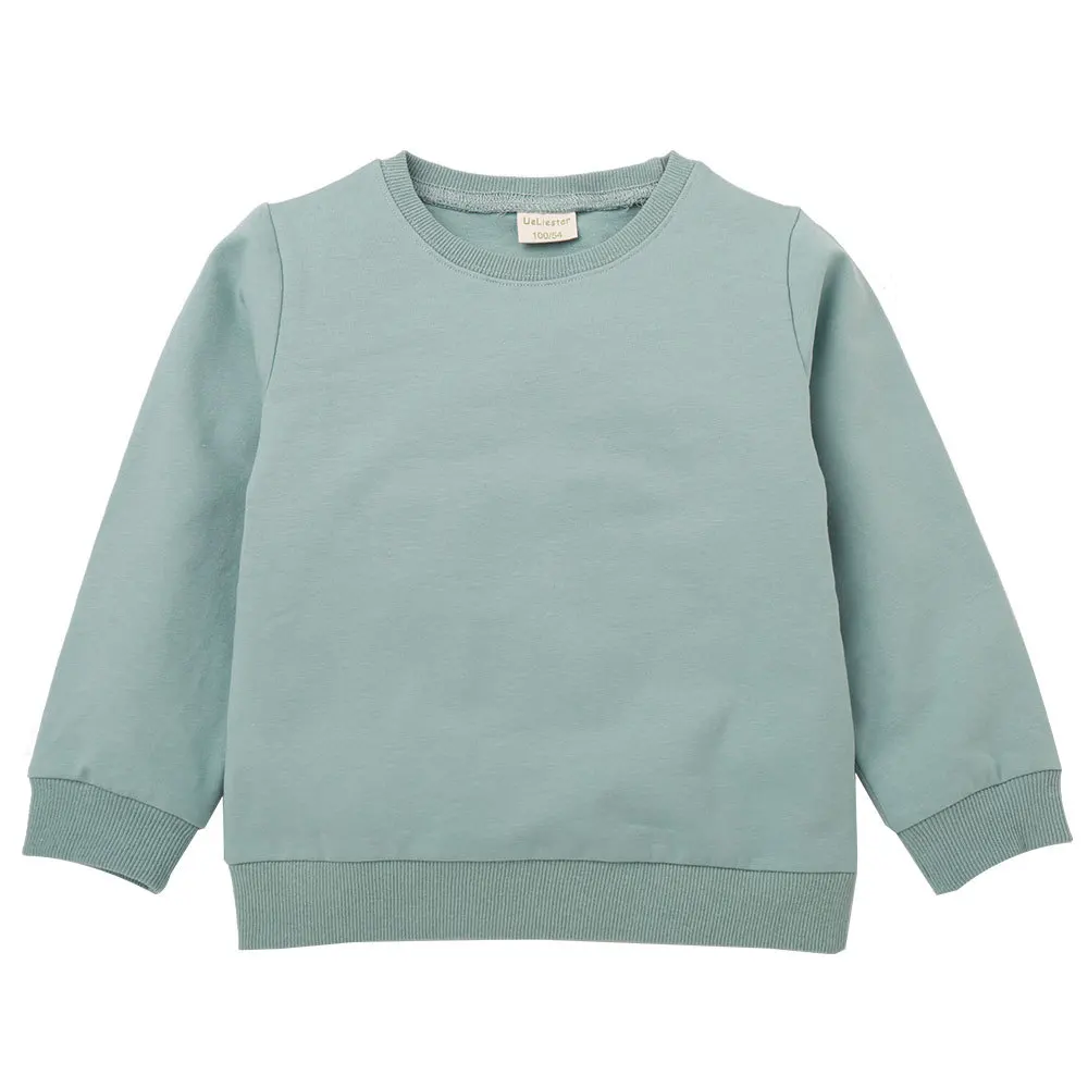 Spring and Autumn Children Long Sleeve Shirt Solid Color Sweatshirt Baby Boy Girl White Pullover Casual Kids Clothes | Детская одежда и