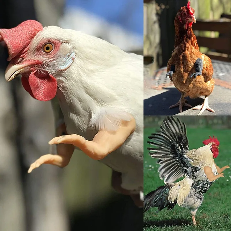 

Chicken Toy Gag Gift Wearing Artificial Dinosaur Arms Sword Props Pet Themed Party Funny Bird Decor Pet Supplies Funny Toy